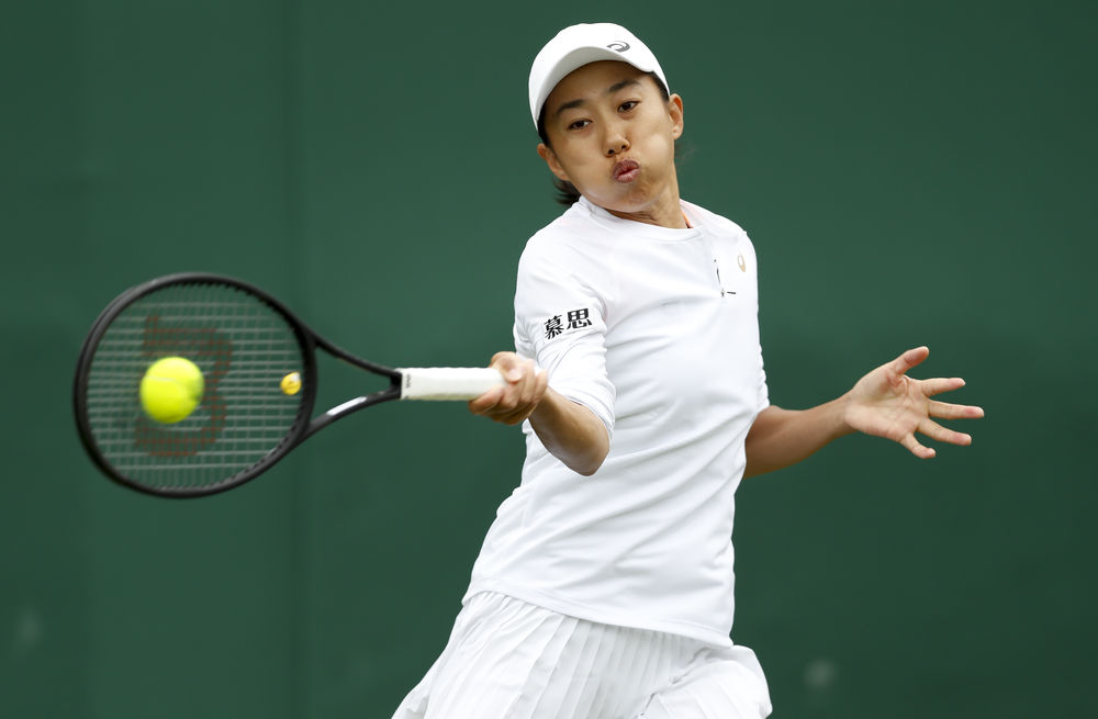 吸引了众多 吸引了众多